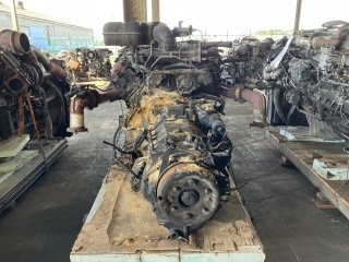 Wristwatch by Ted Baker London