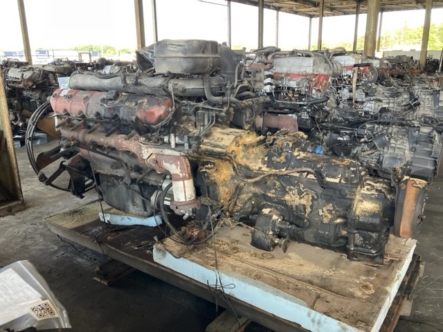 Wristwatch by Ted Baker London