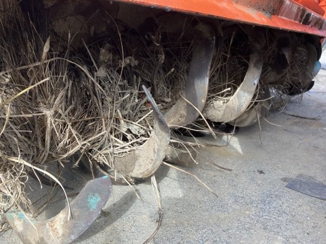 Wristwatch by Ted Baker London