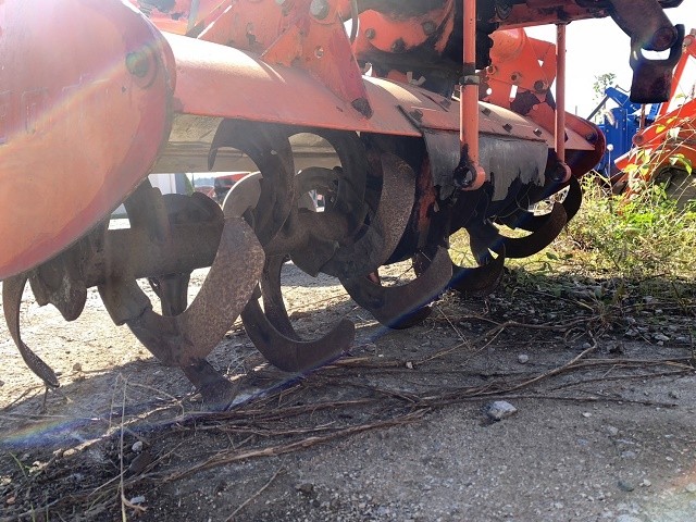 Wristwatch by Ted Baker London